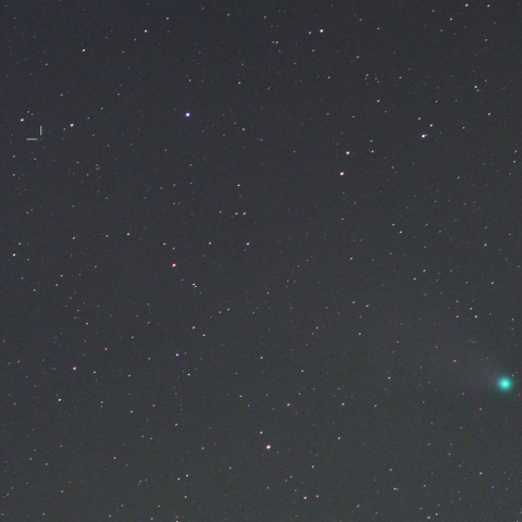 ネオワイズ彗星とパンスターズ彗星