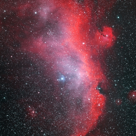 IC2177