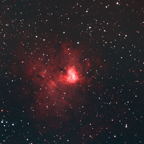 NGC1491