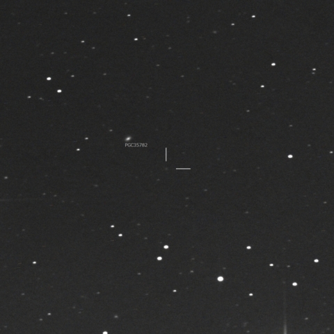 小島彗星 (70P)