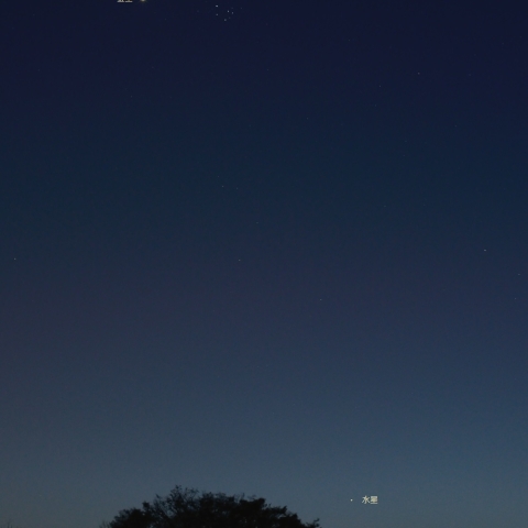 東方最大離角の水星