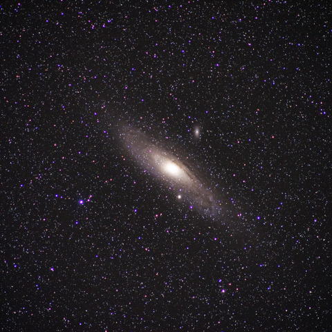 M31