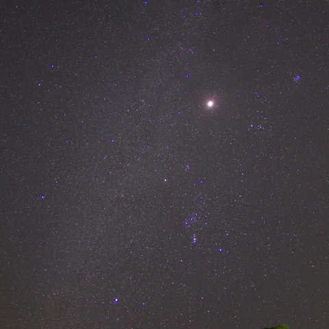 冬の役者勢揃い