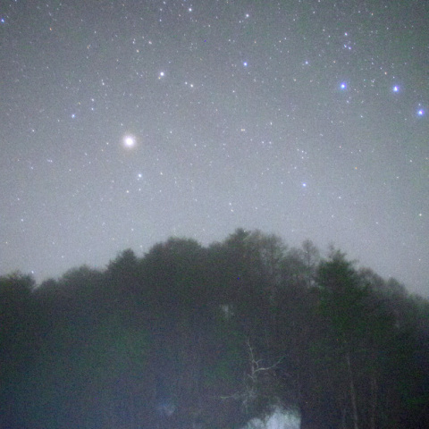 いちづく石の星空