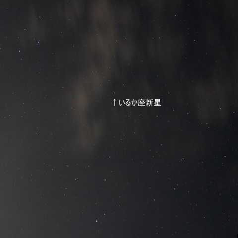 いるか座新星