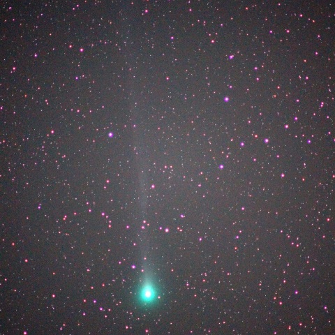 ラブジョイ彗星