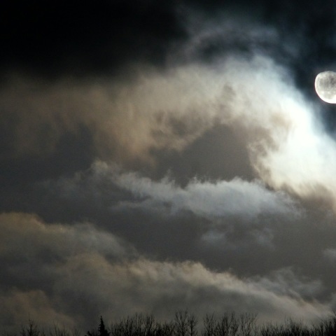 月と火星、スピカが大接近