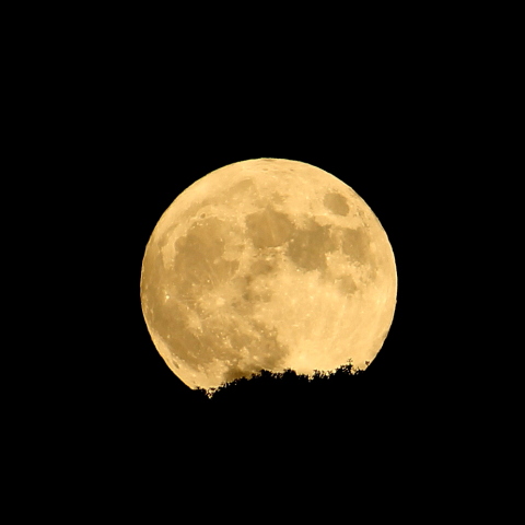 月の出、満月の晩に