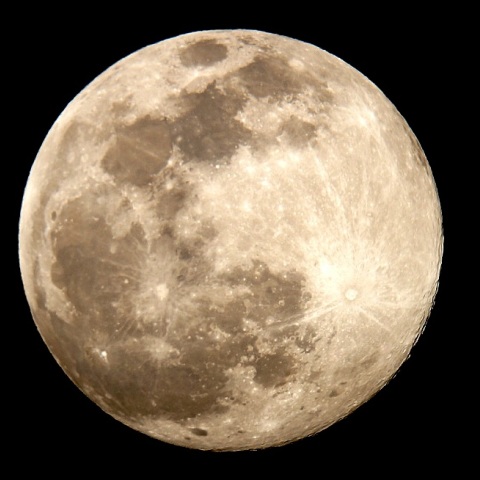 きんぴかお月様