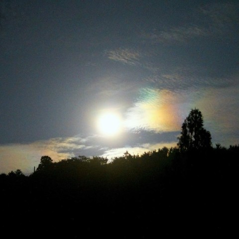 中秋の名月から一夜明けて