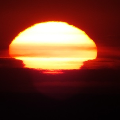 久々の大変化(だいへんげ)