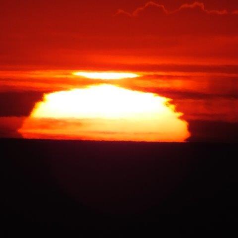 久々の大変化(だいへんげ)