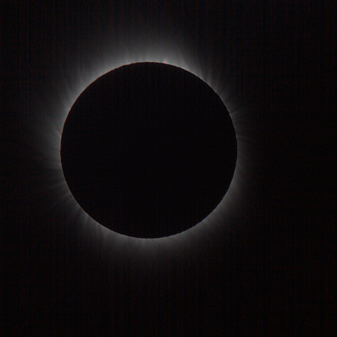 武漢からの皆既