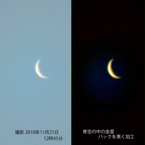お昼の金星（１１月２１日）
