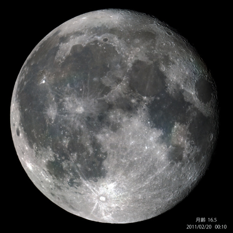 月齢　16.5　（2月20日）