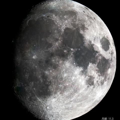 月齢11.3の月（5月14日）