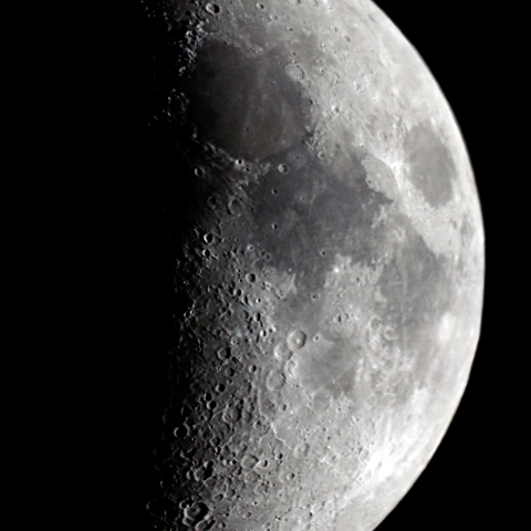 月齢７.４の月（2月２９日）