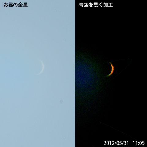 お昼の金星（５月３１日）