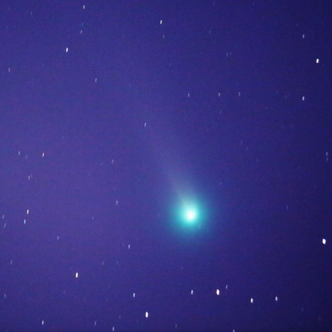 ラブジョイ彗星