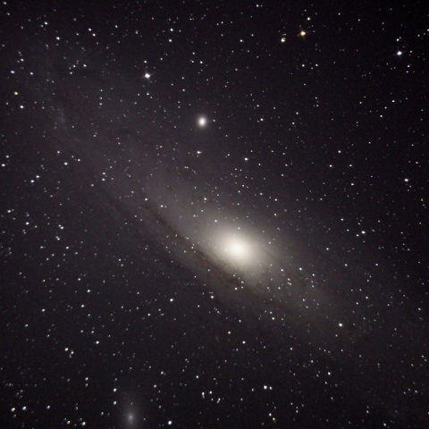 M31