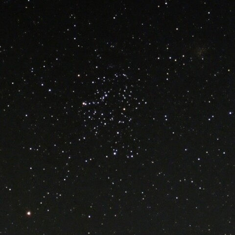 M35　散開星団