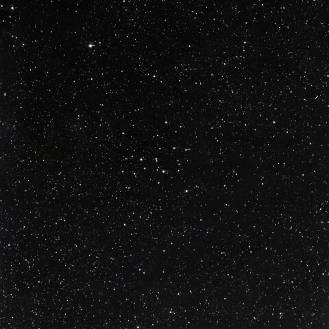 M39 散開星団
