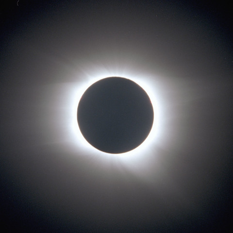 ネガフィルム1コマ勝負