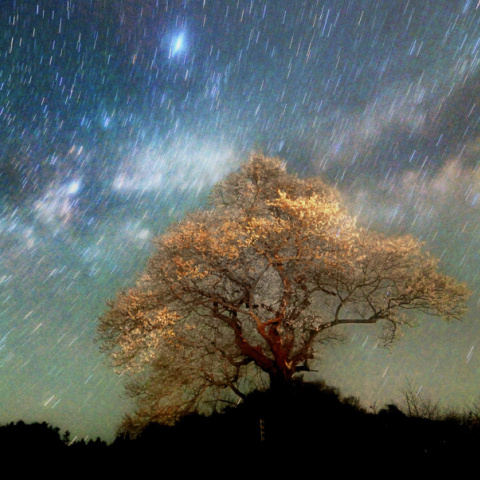 御魂よ。美しき星に。