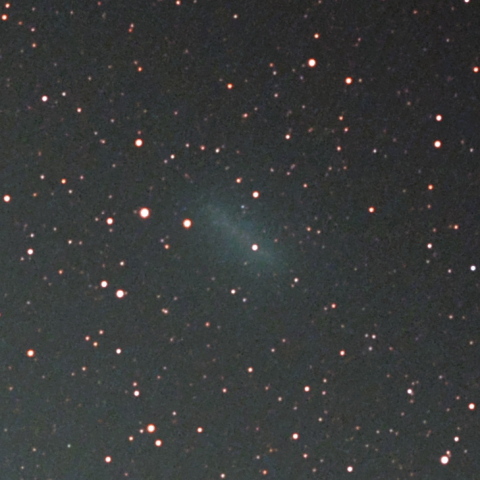 C/2023 H2 レモン彗星