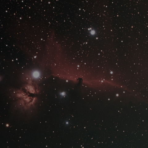 IC434 NGC2024 馬頭星雲と燃える木