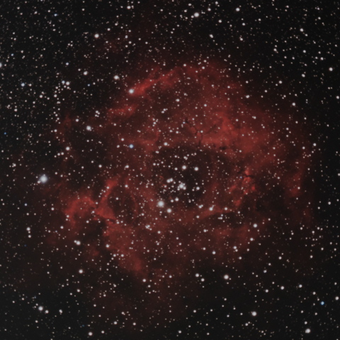 NGC2237 ばら星雲