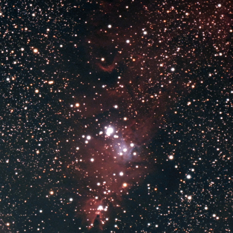 NGC2264 コーン星雲とクリスマスツリー星団