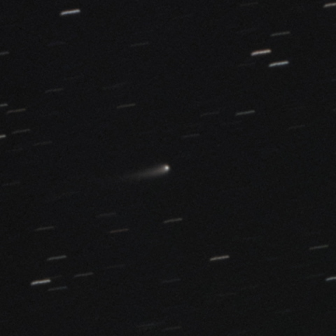 C/2023 A3(Tsuchinshan-ATLAS) 紫金山・アトラス彗星