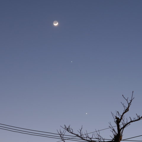 月と木星、金星