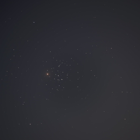 プレセペ星団と火星