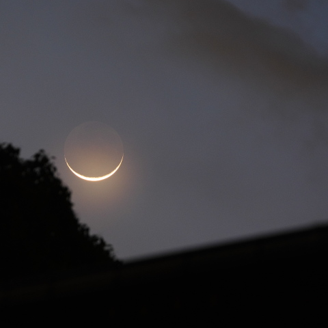 月とポルックス