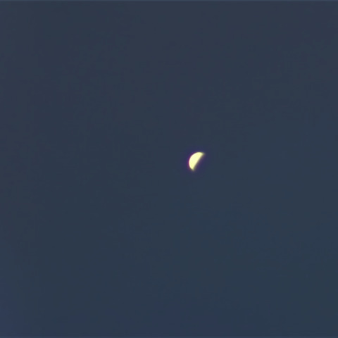 8月25日　昼間の金星