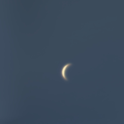 10月6日　昼間の金星