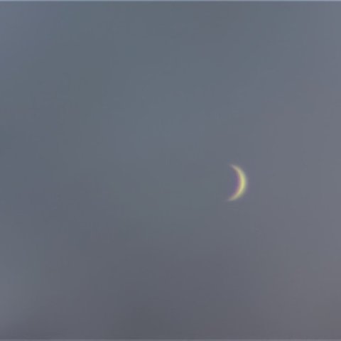 11月18日　昼間の金星