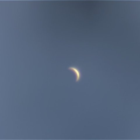 11月24日　昼間の金星