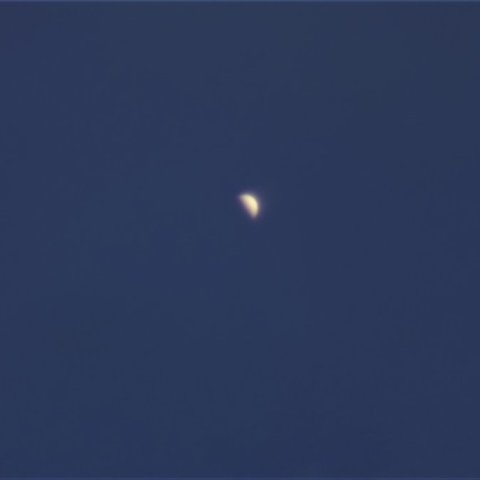 1月4日　昼間の金星
