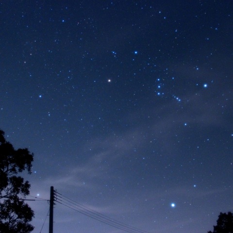 木の葉の雫が星に変わる瞬間