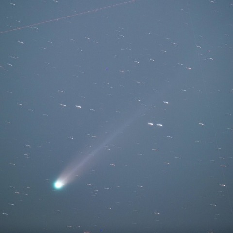 C/2025A6 レモン彗星