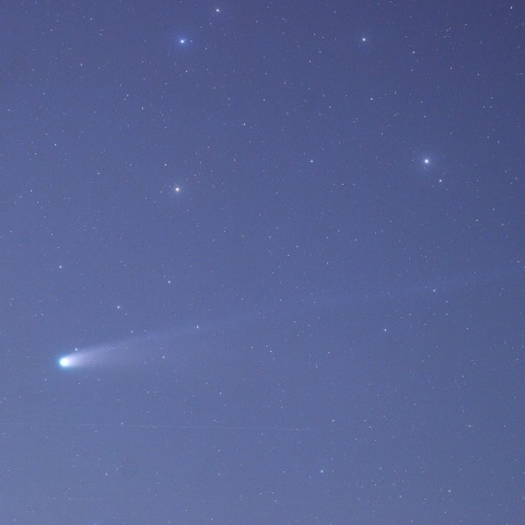 C/2025A6 レモン彗星