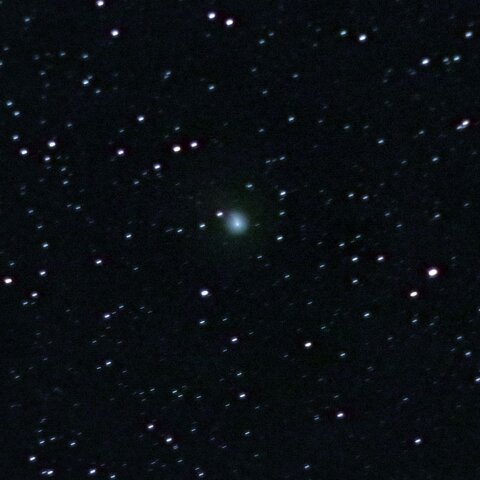 12P ポン・ブルックス彗星 12月 4日