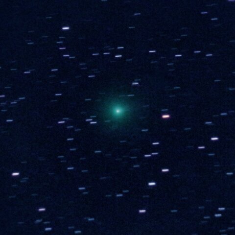 62P 紫金山彗星 12月 8日