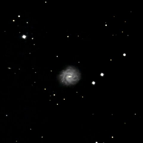 NGC3346