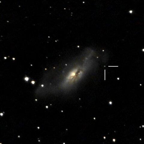 超新星 2024abfl 2024.12.28