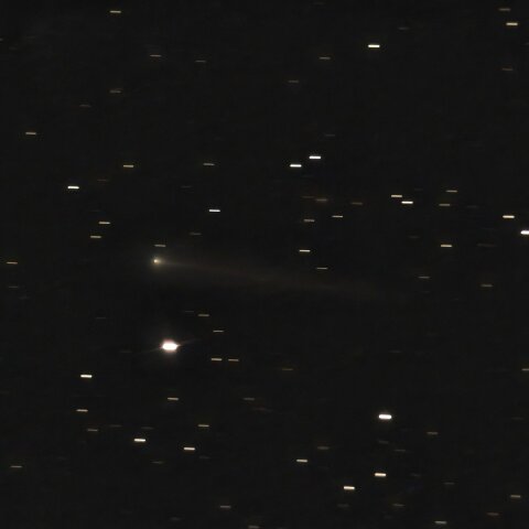 220P マクノート彗星　6/13