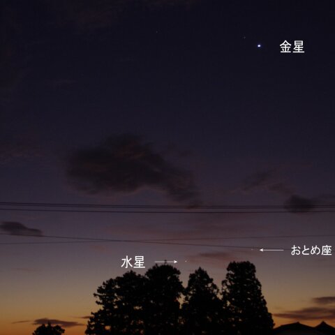 11月6日の明け方